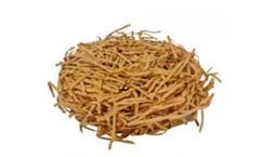 Datesand - Bed-r Nest