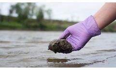 Real-Time Continuous Analysis for Denitrification Studies