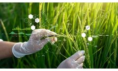How Mass Spectrometers Can Help Determine Authenticity in Agrifoods