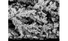 Why Gas-Phase Dynamics are Central to Low-Pressure Plasma Applications