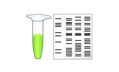 ExtractNow™ - CleanUp Kit