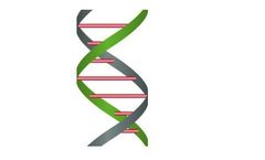 ExtractNow™ - DNA Mini Kit