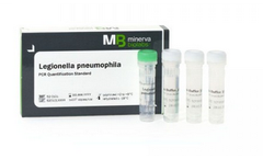 Minerva Biolabs - PCR Quantification Standards Kit