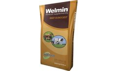 Agritech Welmin Beef Rumigest - Mineral Supplements
