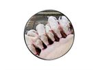 Agritech - Model Agromega - Essential Fatty Acid Supplement for Pigs