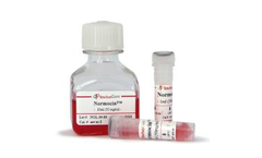 InvivoGen - Model Normocin - Antimicrobial Reagent