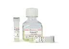 InvivoGen - Model Primocin - Antimicrobial Agent for Primary Cells