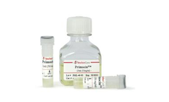 InvivoGen - Model Primocin - Antimicrobial Agent for Primary Cells