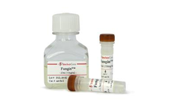 InvivoGen - Model Fungin - Antifungal Reagent