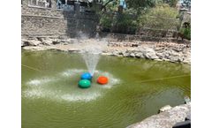 Lake Bioremediation - Case Study