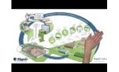 Hypor - Creating Value for the Pork Chain Video