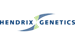 Hendrix Genetics - Triploid Trout