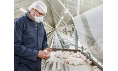 Hybrid Genetics - Model NOVO - Hybrid Converter