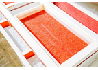 Hendrix Genetics - Model Troutlodge - Rainbow Trout Female Eggs