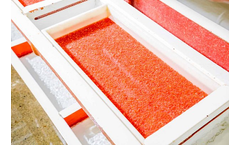 Hendrix Genetics - Model Troutlodge - Rainbow Trout Female Eggs