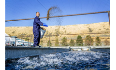 Troutlodge - Live Fish