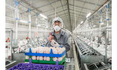 Hybrid Genetics - Hybrid Converter