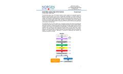 Model Cat. 63610, 63600, 63620 - Small RNA Library Prep Kit for Illumina - Brochure