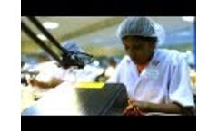 Flintec - Global load cell manufacturer Video