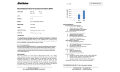 BioVision - Recombinant Blue Fluorescent Protein (BFP) - Datasheet