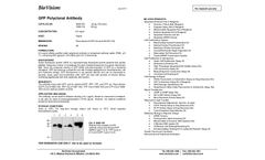 BioVision - Model GFP - Polyclonal Antibody - Datasheet