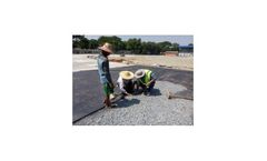 K31 Branch - Program Services