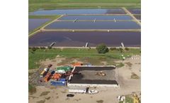 Dewatering Services