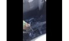 Swine Manure Pit Containing Waste Away Being Pumped Video