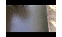 Cattle Pit Using Waste Away Manure Treatment Video