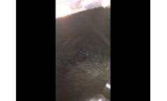 Waste Away Manure Treatment Cattle Pit Near Bottom Video