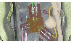 CAE - Strain Gauge Measurement Analysis - Signal Inspector Analyzer