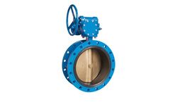 TWT - Flange Center Plate Butterfly Valve