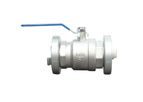Tapasan - Model VA01 - Valve With Stroz