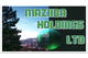 Maziiba holdings ltd