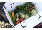 CropBox - Model CSA - Boxes
