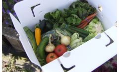 CropBox - Model CSA - Boxes