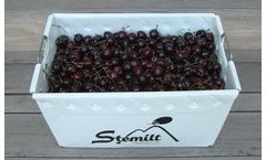 Harvesting Totes