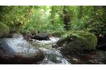 Earth Day - Thank you - 2021 - Video