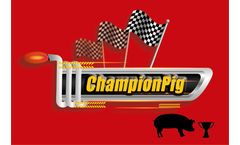 ChampionPig - Nursery Focused on Economic Performance Program