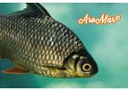AroMar - Organic Acids and Mycotoxin Binders