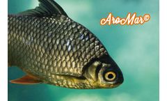 AroMar - Organic Acids and Mycotoxin Binders