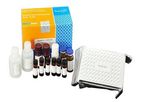 Meizheng - Model B1 - Aflatoxins ELISA Kit