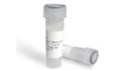 Meizheng - Model HAB047 - Anti- Estradiol Antibody