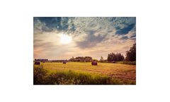 Industrial process solutions for agriculture industry