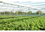 Shading Greenhouse Screen System