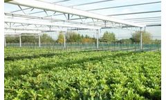 Shading Greenhouse Screen System