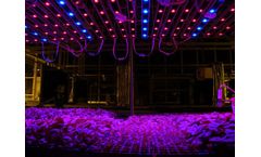 Greenhouses LED-Lighting