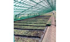 Greenhouse Modernization Services