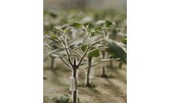 Proplant - Propagation Services