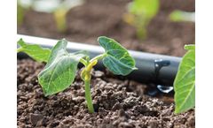 Dayu - Open Field Vegetable Drip Tape